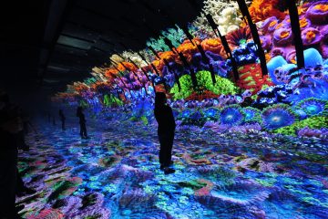 LED Screens
